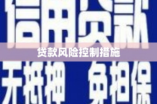 潼关贷款风险控制措施