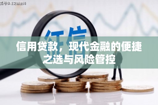 永寿信用贷款，现代金融的便捷之选与风险管控