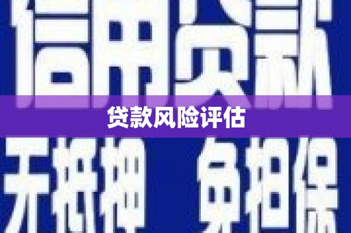 黄南贷款风险评估