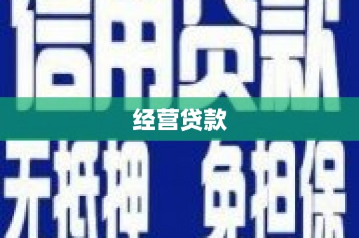 六甲经营贷款