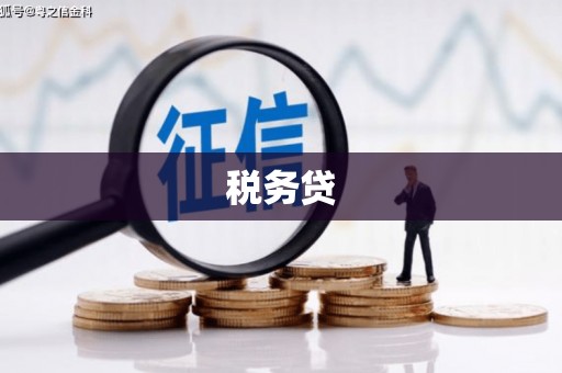 阜平税务贷