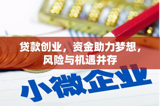 柳东贷款创业，资金助力梦想，风险与机遇并存