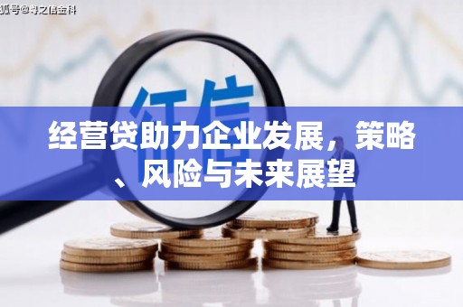 汇川经营贷助力企业发展，策略、风险与未来展望