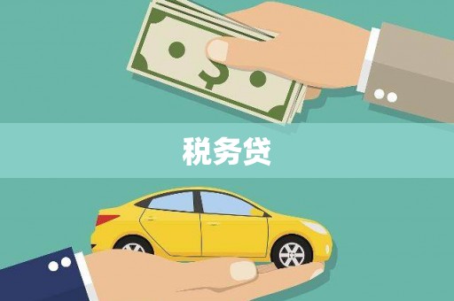 资源税务贷