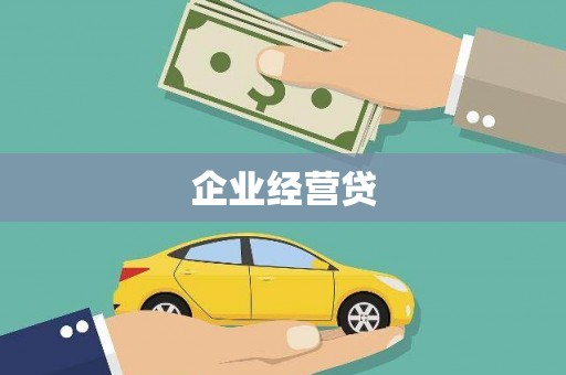 海端企业经营贷