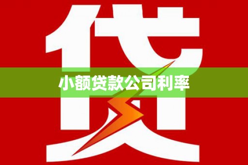 通海小额贷款公司利率