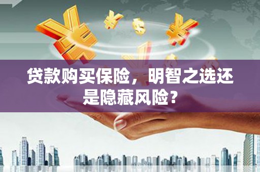 磁县贷款购买保险，明智之选还是隐藏风险？