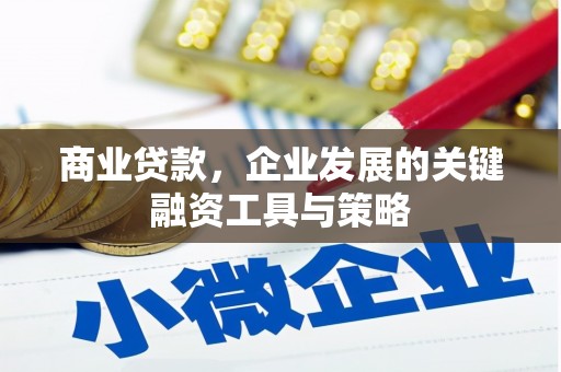 成华商业贷款，企业发展的关键融资工具与策略