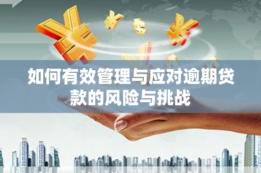盖州如何有效管理与应对逾期贷款的风险与挑战