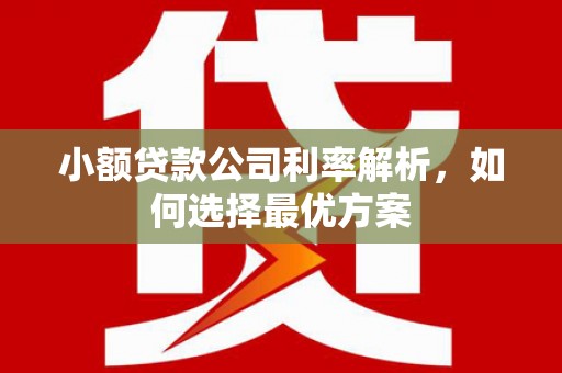 天津小额贷款公司利率解析，如何选择最优方案