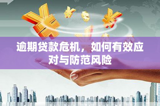 永清逾期贷款危机，如何有效应对与防范风险