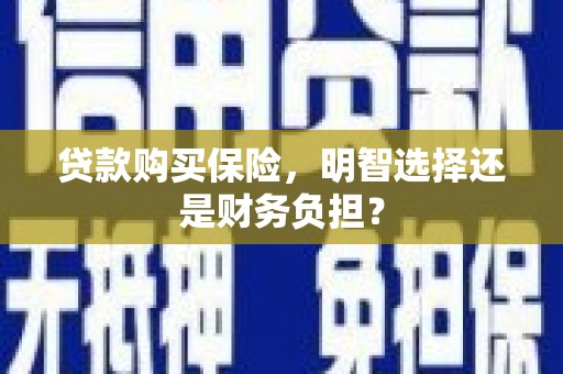 商南贷款购买保险，明智选择还是财务负担？