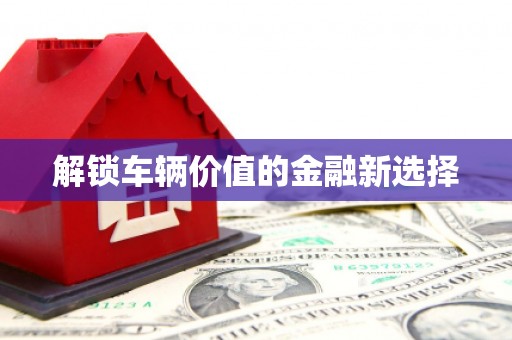 凤林解锁车辆价值的金融新选择