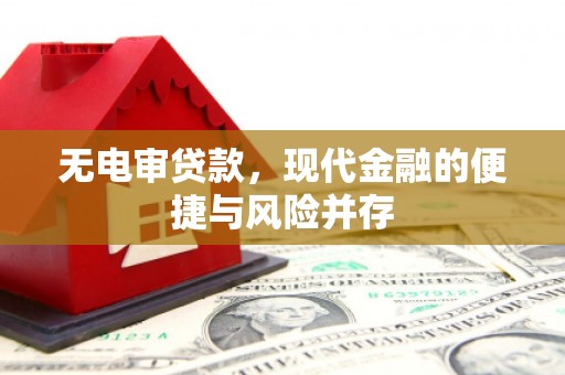 花莲无电审贷款，现代金融的便捷与风险并存