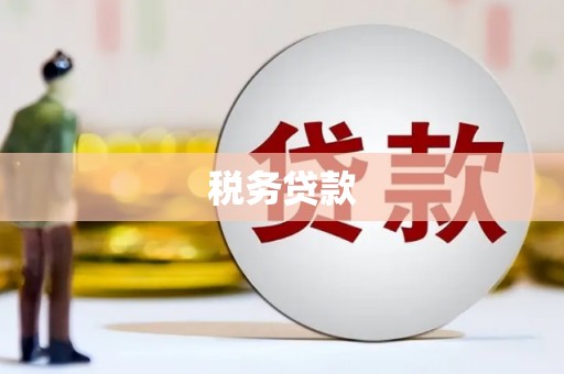 张北税务贷款