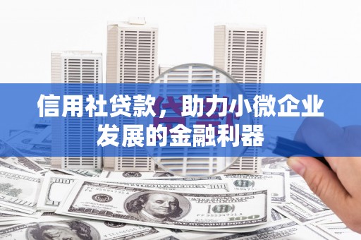 中区信用社贷款，助力小微企业发展的金融利器