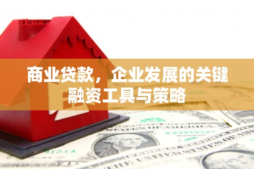 北投商业贷款，企业发展的关键融资工具与策略