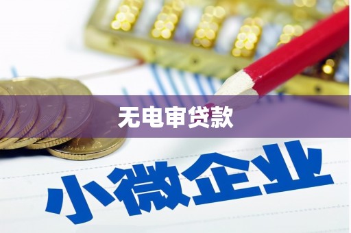 孟村无电审贷款