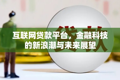 东乡族互联网贷款平台，金融科技的新浪潮与未来展望