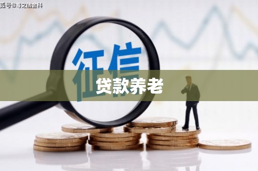 通霄贷款养老