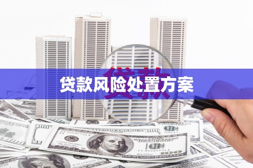林甸贷款风险处置方案