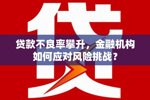 雾峰贷款不良率攀升，金融机构如何应对风险挑战？