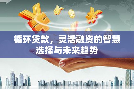 龙口循环贷款，灵活融资的智慧选择与未来趋势