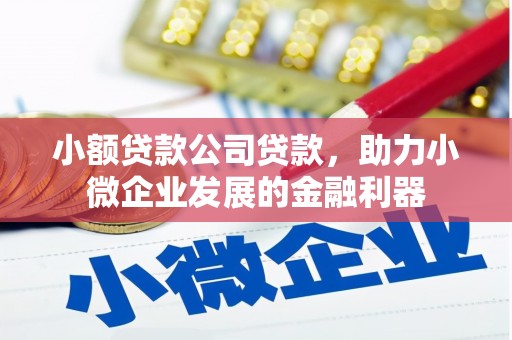武清小额贷款公司贷款，助力小微企业发展的金融利器