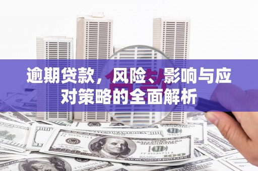 西昌逾期贷款，风险、影响与应对策略的全面解析