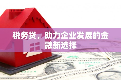 宁城税务贷，助力企业发展的金融新选择