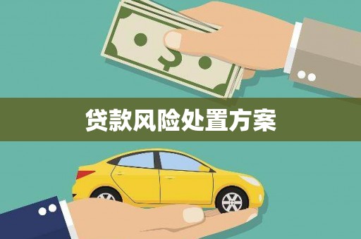 卓溪贷款风险处置方案