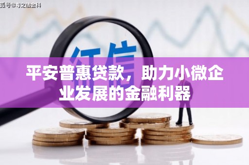 北投平安普惠贷款，助力小微企业发展的金融利器