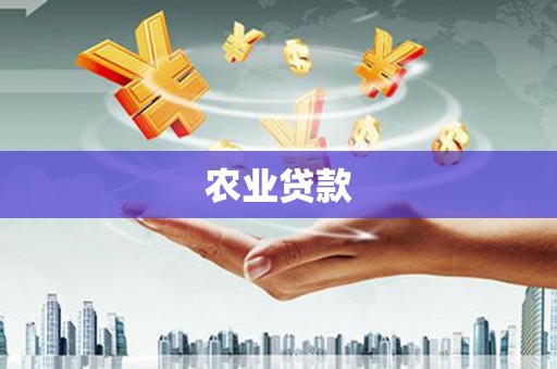 迭部农业贷款