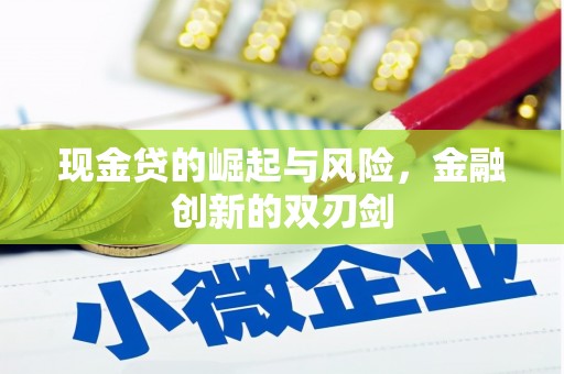 德保现金贷的崛起与风险，金融创新的双刃剑
