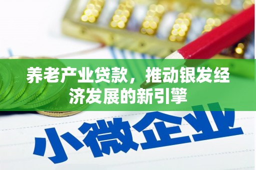 沙湾养老产业贷款，推动银发经济发展的新引擎