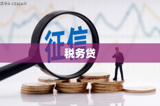 米易税务贷