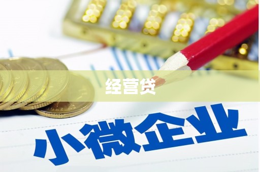 桐乡经营贷