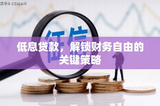 茌平低息贷款，解锁财务自由的关键策略