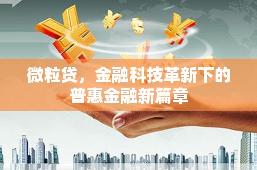 岳麓微粒贷，金融科技革新下的普惠金融新篇章