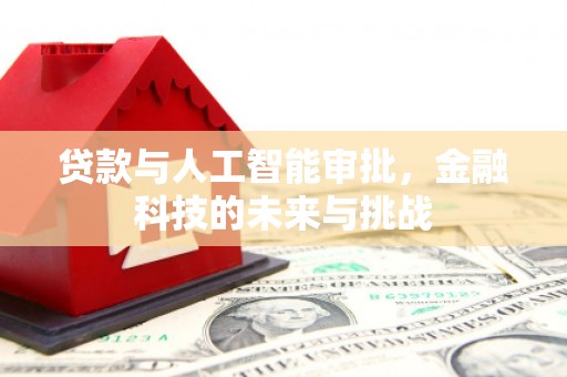 横县贷款与人工智能审批，金融科技的未来与挑战
