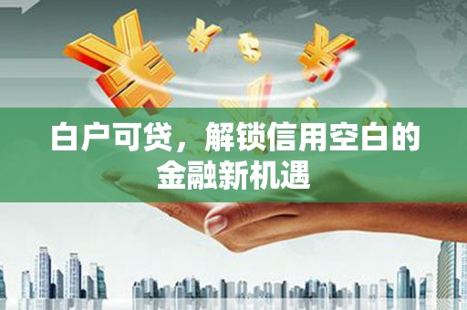应县白户可贷，解锁信用空白的金融新机遇