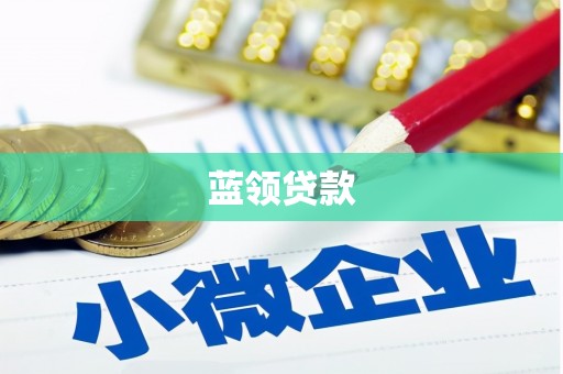 大丰蓝领贷款