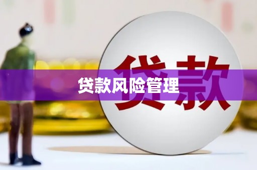 隆回贷款风险管理