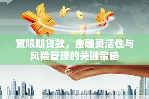 依兰宽限期贷款，金融灵活性与风险管理的关键策略