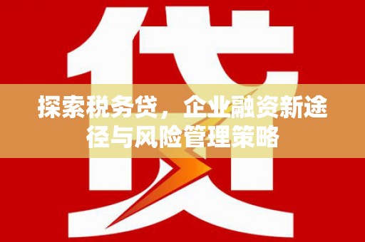 东昌探索税务贷，企业融资新途径与风险管理策略