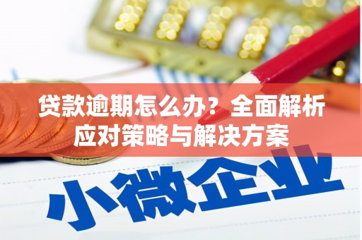 光泽贷款逾期怎么办？全面解析应对策略与解决方案