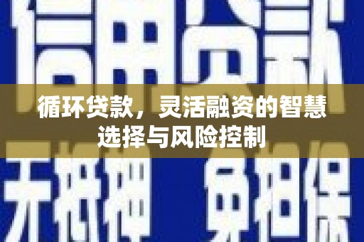 云浮循环贷款，灵活融资的智慧选择与风险控制