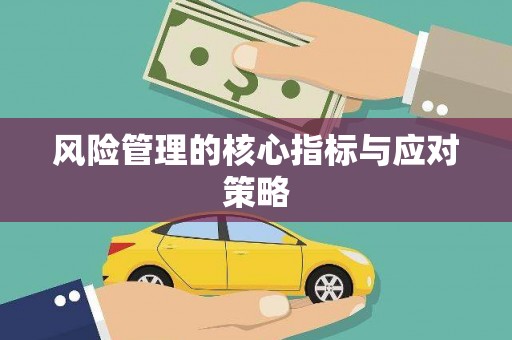 定远风险管理的核心指标与应对策略