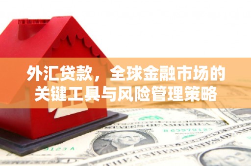 永靖外汇贷款，全球金融市场的关键工具与风险管理策略