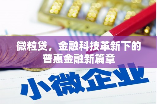 安岳微粒贷，金融科技革新下的普惠金融新篇章